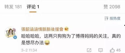 娱乐吃瓜博主起名大全,跟随吃瓜博主,畅游八卦海洋